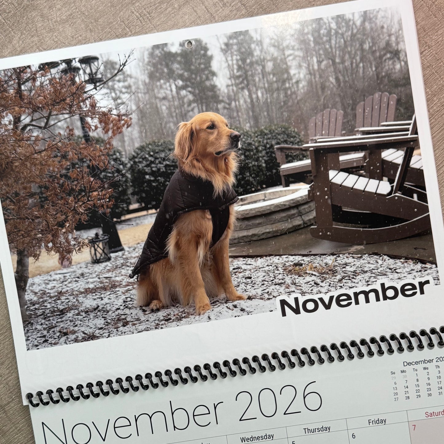 AGuyandAGolden 2026 Calendar – Limited Release