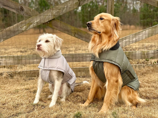 AGuyandAGolden Puffer Jackets