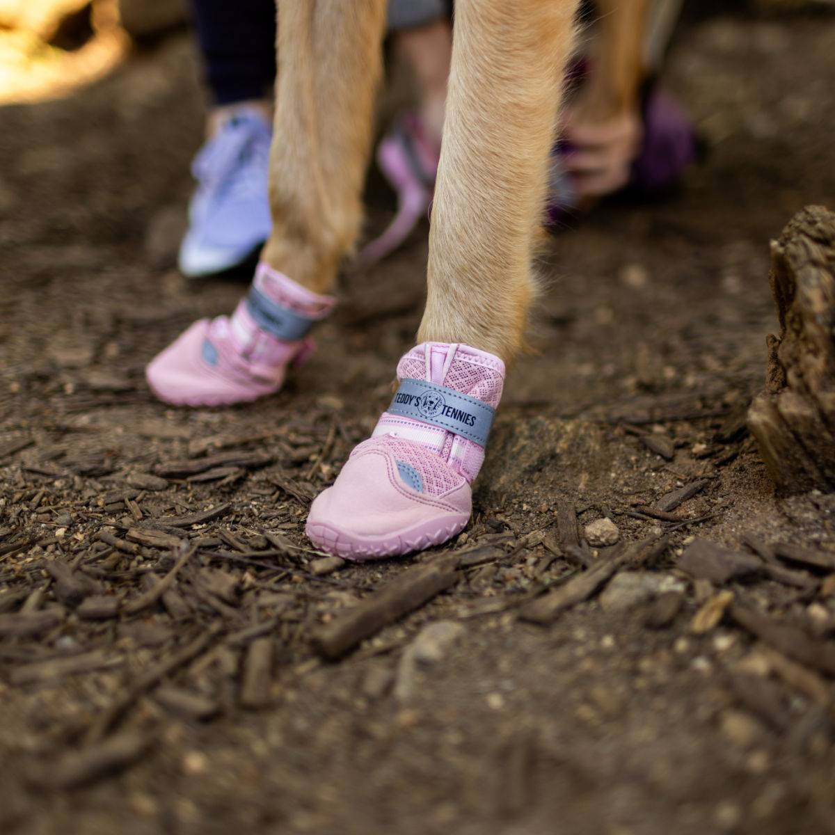 Pink dog shoes on a muddy ground with blurred background