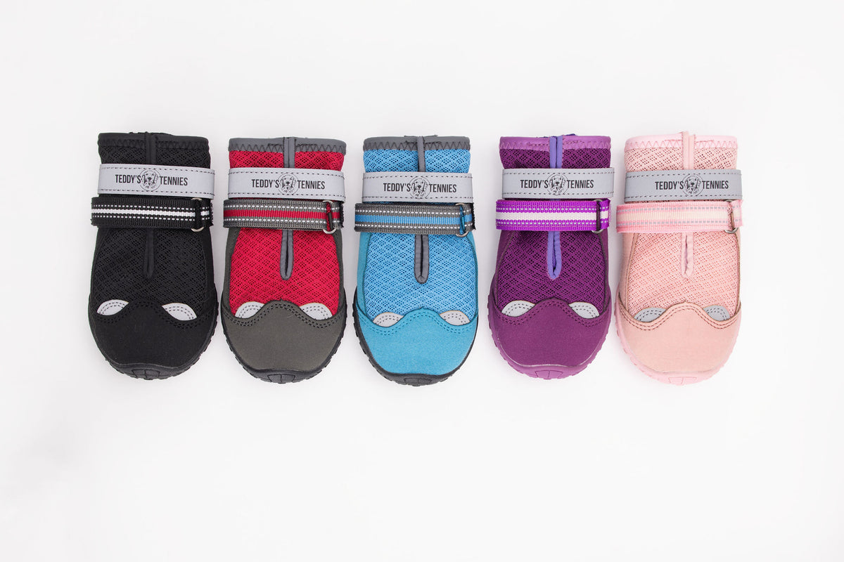Set of colorful pet shoes with brand name on a white background