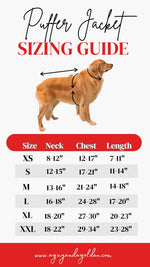 Dog puffer jacket sizing guide with a golden retriever illustration on a white background.
