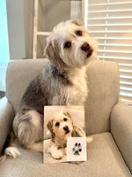 Dog sitting on a couch with a photo of itself and a paw print card