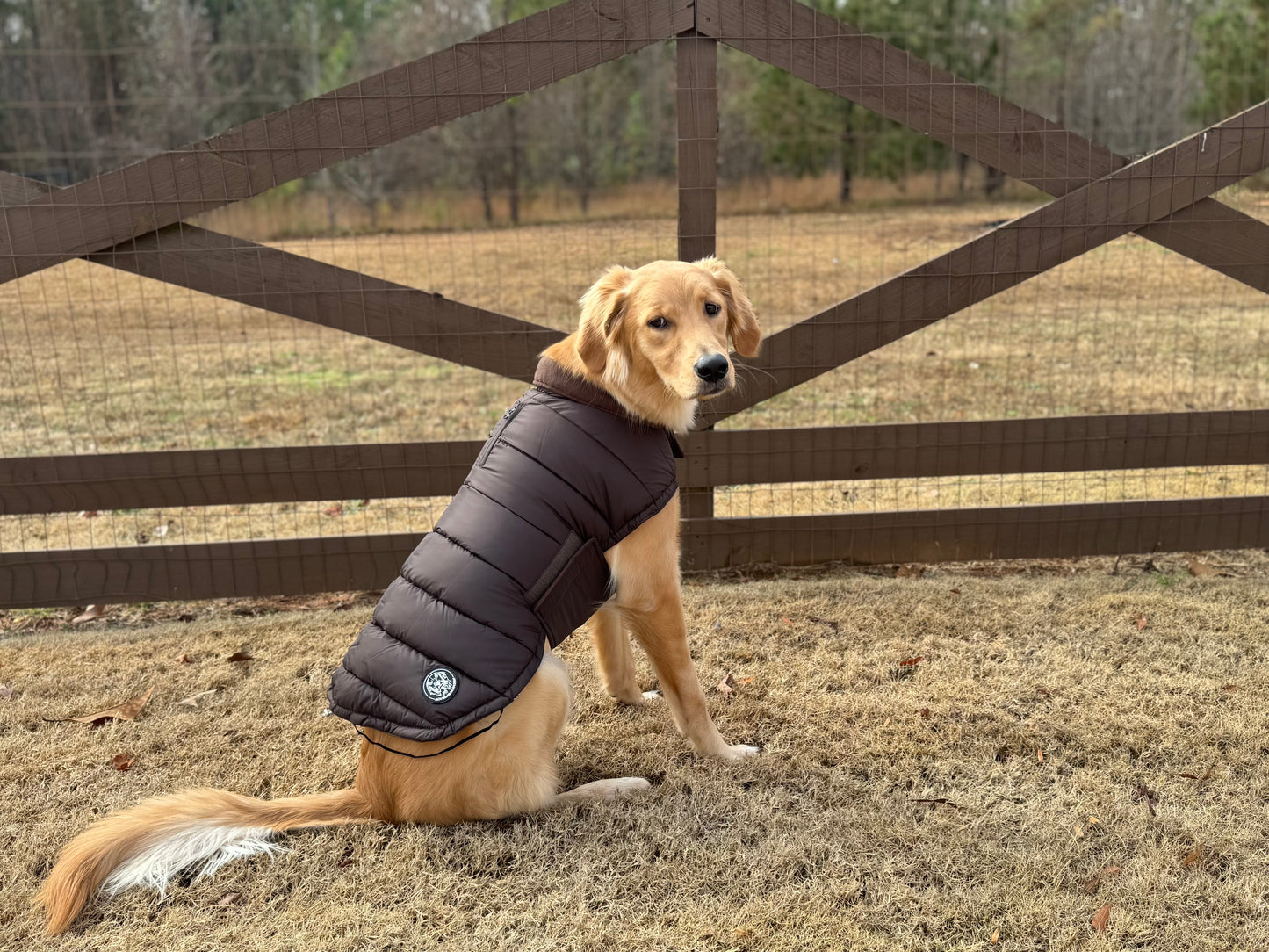 AGuyandAGolden Puffer Jackets