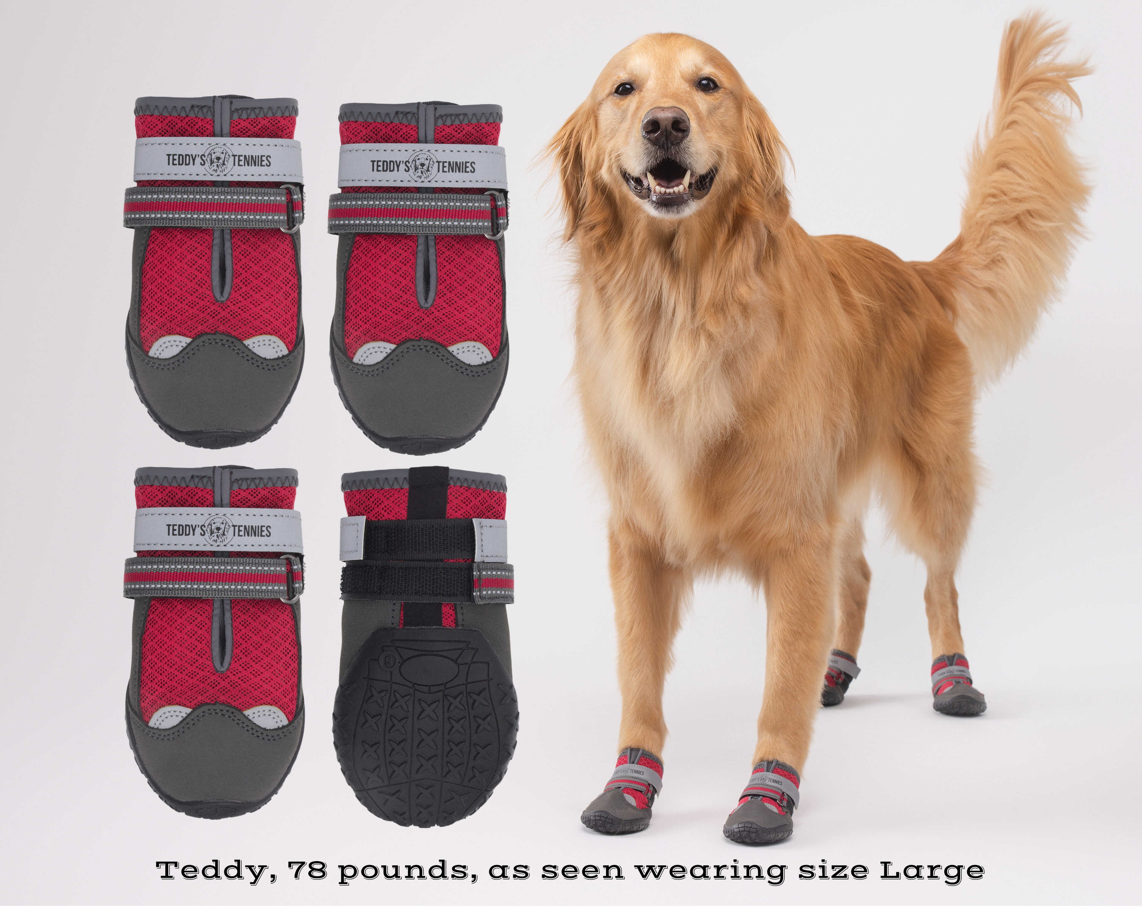 Dog wearing red and gray dog boots with a golden retriever model on a white background