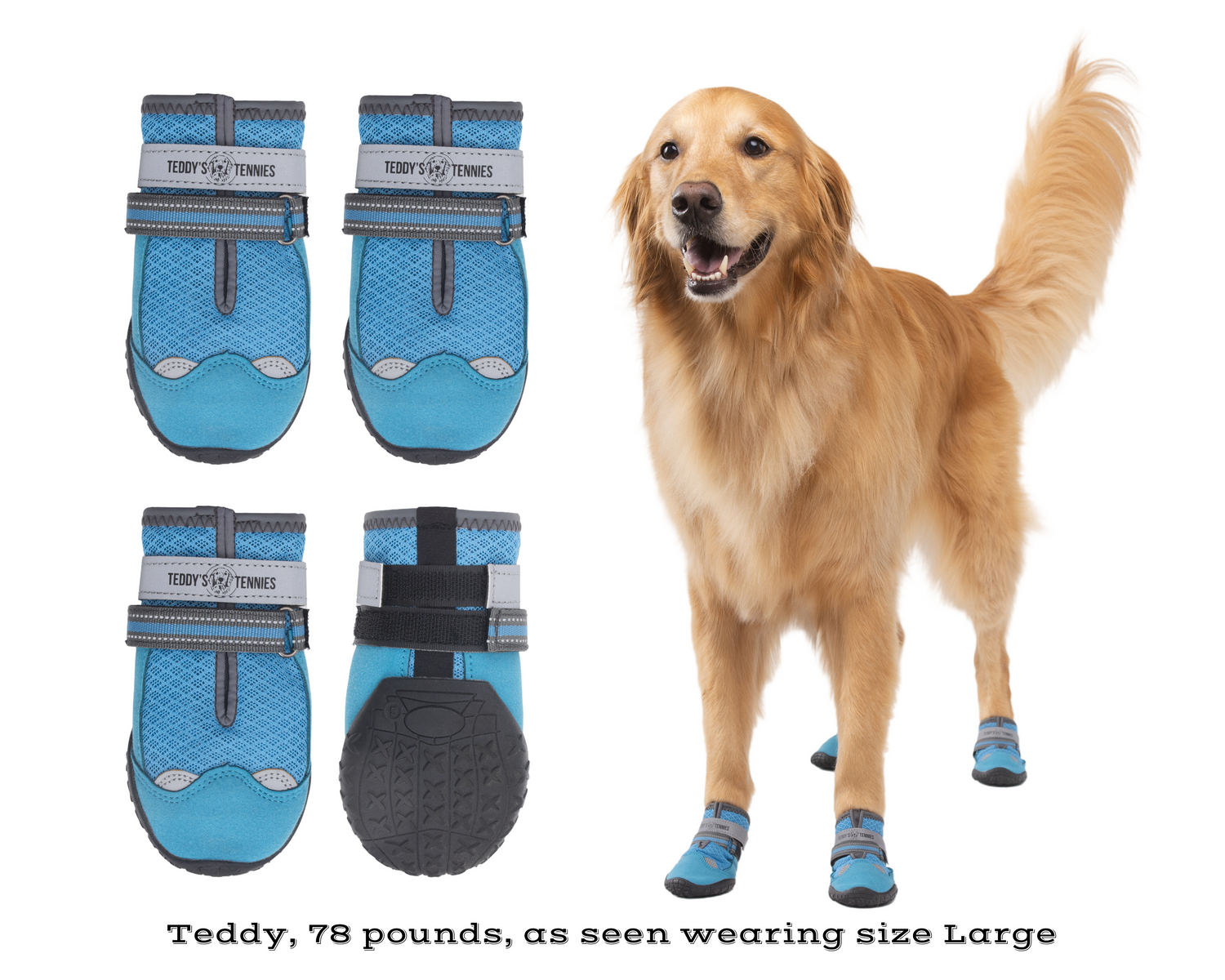 Dog wearing blue pet boots with a golden retriever next to them on a white background