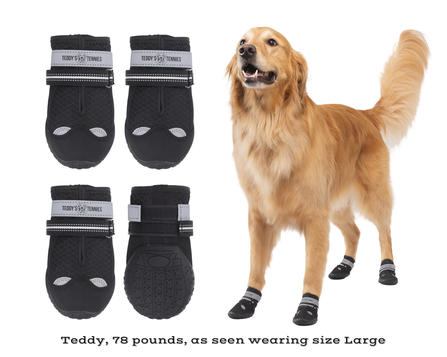 Dog wearing black dog boots with a golden retriever next to them on a white background
