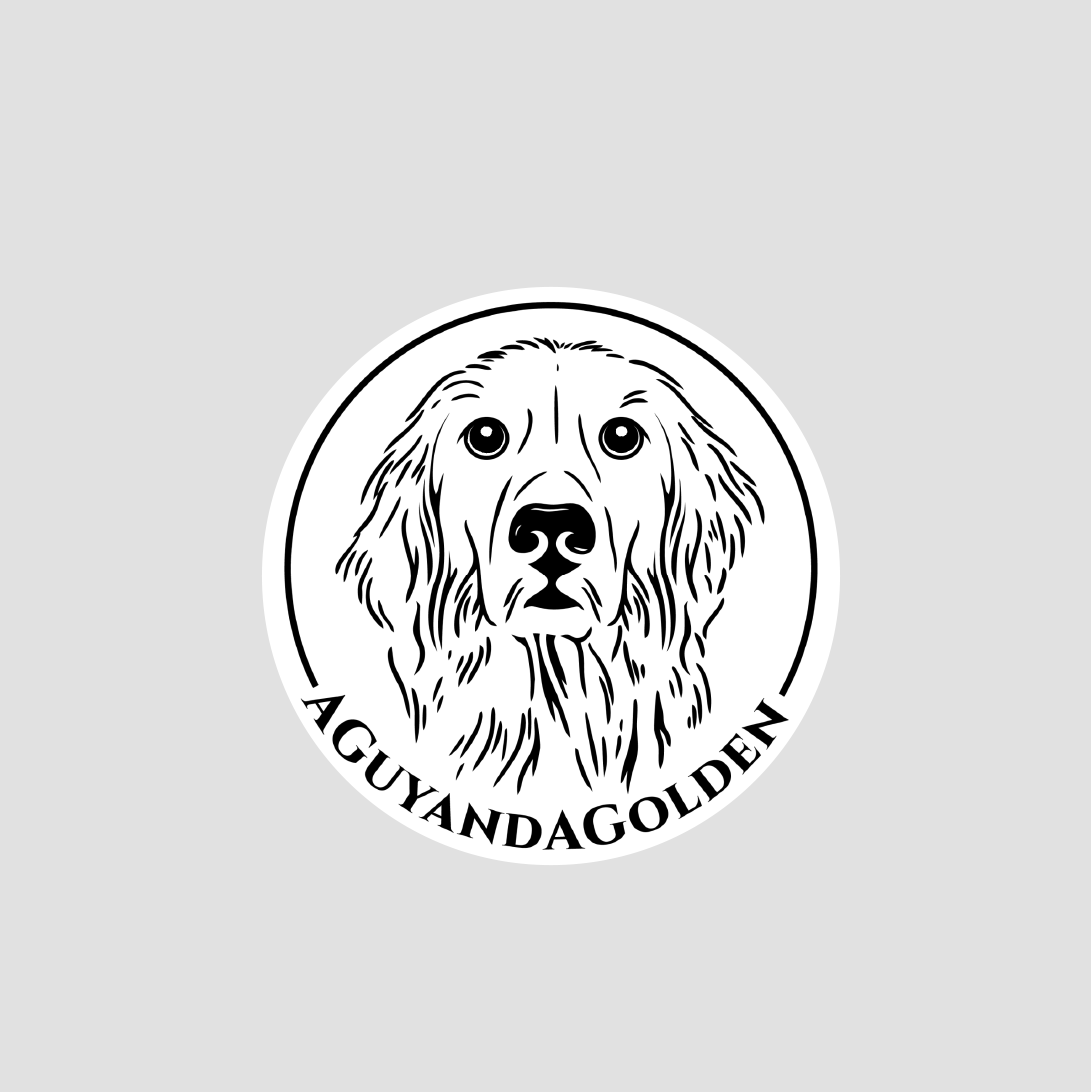 Logo of a dog with 'AGUAYANDA GOLDEN' text on a gray background