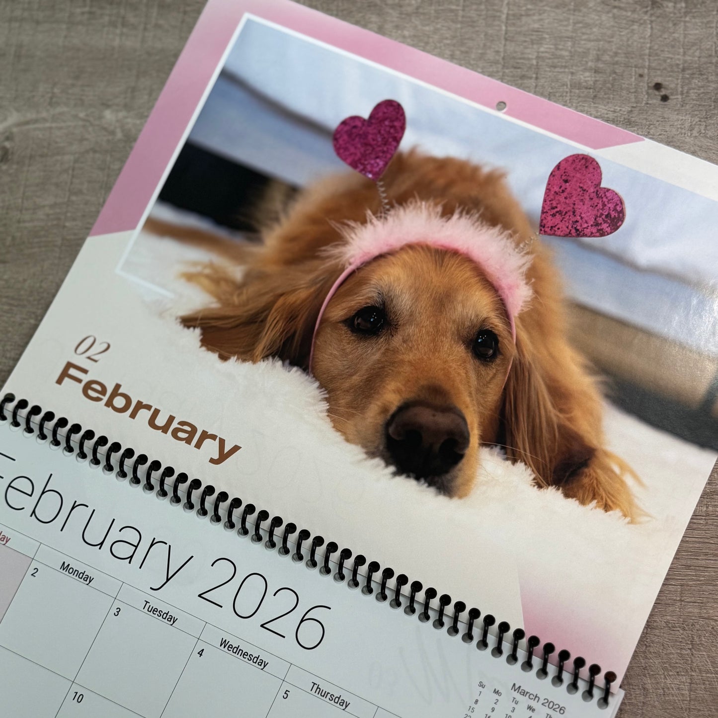 AGuyandAGolden 2026 Calendar – Limited Release