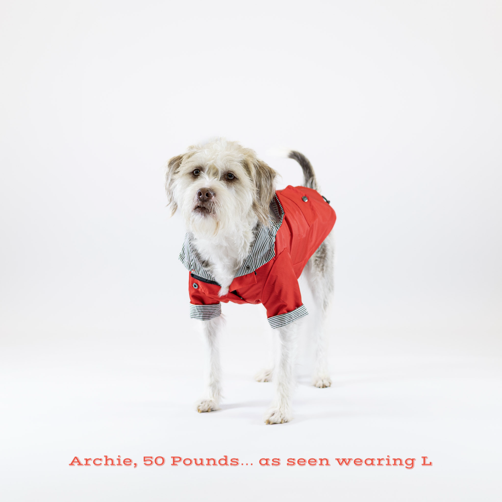 Dog wearing a red jacket on a white background