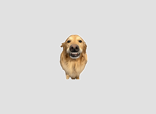 Teddy Smile Sticker