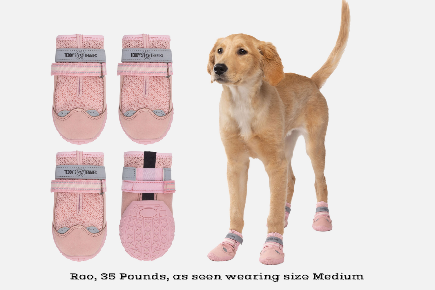 Dog wearing pink dog boots with a white background