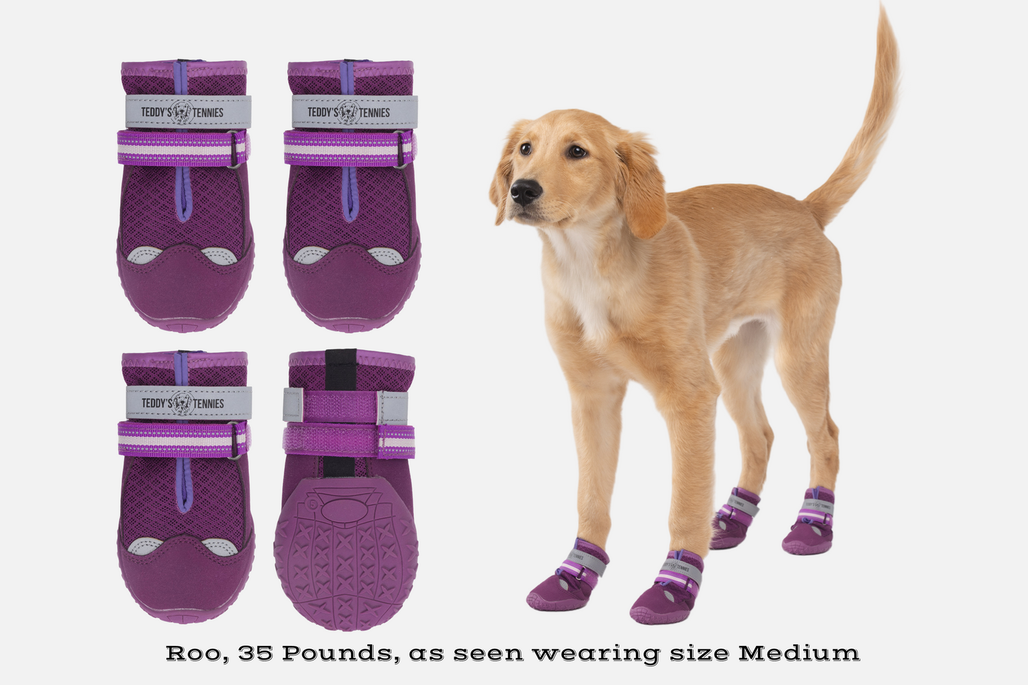Dog wearing purple boots with a set of boots displayed above on a white background