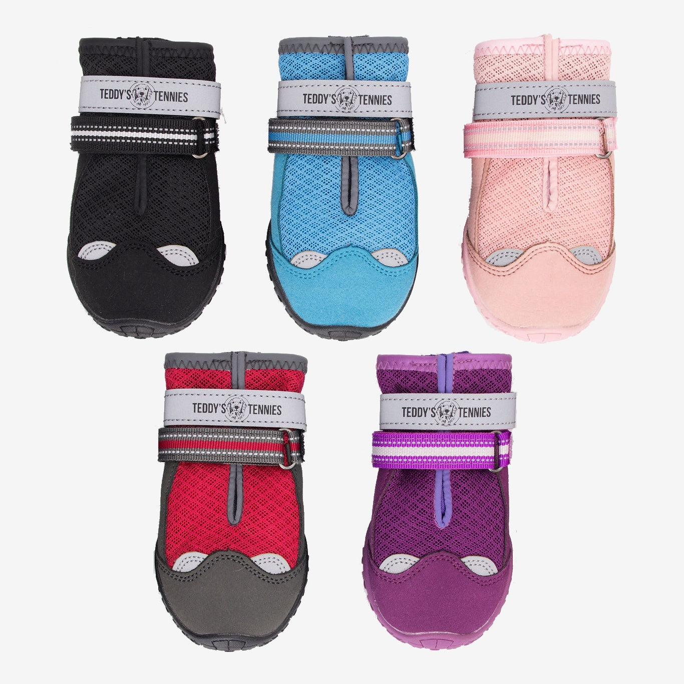 Five colorful pet shoes with zippers on a white background, branded 'Teddy's Tennis'.