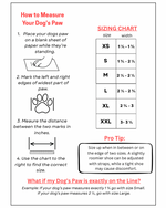 Instructions on how to measure a dog's paw and a sizing chart for shoes.